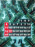 ７月