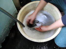 小林