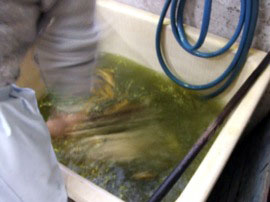 岡本