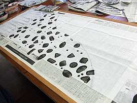 告野