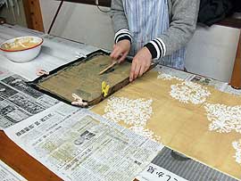 白樫