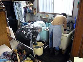 告野