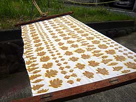 三木