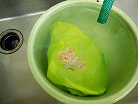 菊池