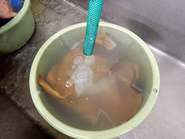 富永